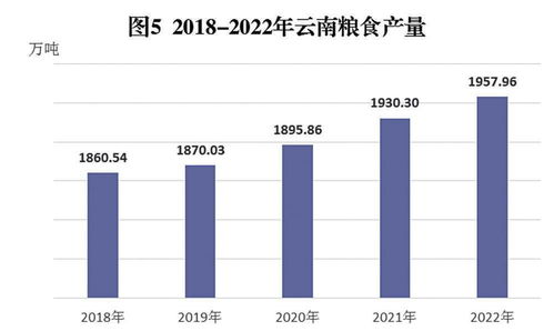 云南省2022年國民經濟和社會發(fā)展統(tǒng)計公報解讀與咨詢服務啟示